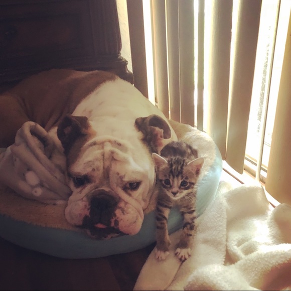 Meet your Posher, Mariuxi - Picture 2 of 2